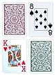 Copagt Poker Size Jumbo Index - Green*Burgundy Setup