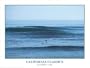 California Classics "Steamer Lane" Surfing Poster