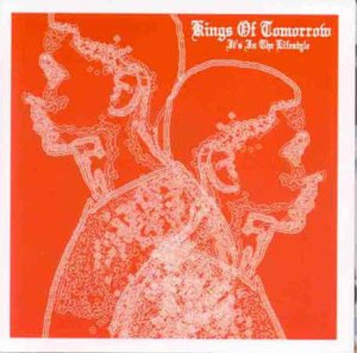 Kings of Tomorrow - Finally (Danny Tenaglia Returns To Paradise Mix) Lyrics - Zortam Music