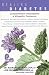 Healing Diabetes: Complementary Naturopathic and Drug Treatments