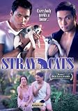Stray Cats (Mainstream Cover Art)