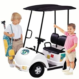 Big Driver Two Seat Golf Cart