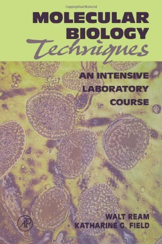 Molecular Biology Techniques: An Intensive Laboratory Course