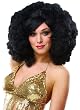 Pop Black Afro Wig - Adult Std.