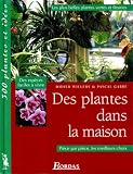 Des plantes dans la mauison  les plus belles plantes vertes et fleuries