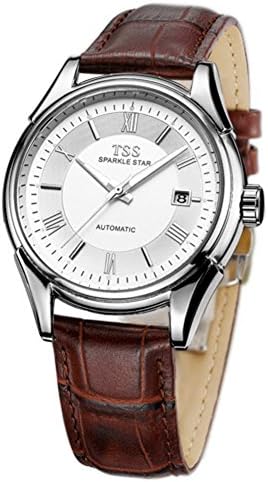 Mens automatic mechanical watches/Fashion retro waterproof luminous watch-Q