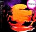 Endless Summer Record