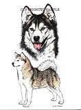 Siberian Husky - Double Image by Cindy Farmer
