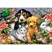 Falcon Deluxe Puzzle - Loveable Pets (500 pieces)