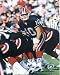 Alex Van Pelt autographed 8x10 Photo (Buffalo Bills)