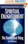 Spiritual Enlightenment: The Damnedest Thing