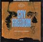 Cry Freedom: Original Motion Picture Soundtrack