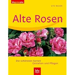 Alte Rosen: Die sch�nsten Sorten. Gestalten und pflegen