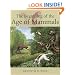 The Beginning of the Age of Mammals