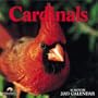 Cardinals Calendar
