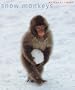 Snow Monkeys