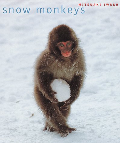Wildlife