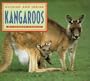 Outside and Inside Kangaroos