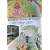Honey from a Weed: Fasting and Feasting in Tuscany, Catalonia, the Cyclades and Apulia