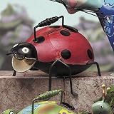 Watering Can - Lady Bug