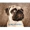 My all-time favourite Pug works!