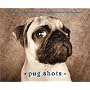 Deluxe Notecards - Pug Shots (Delux Notecards)