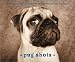 Deluxe Notecards - Pug Shots