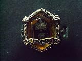 Katekyo Hitman Reborn Cosplay Costume Accessories - Vongola Gem Ring of Storm