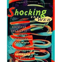 Shocking the Web: Windows