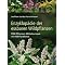 Arch�obotanik, Agrargeschichte