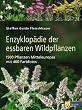 Steffen Guido Fleischhauer - Enzyklopädie der essbaren Wildpflanzen: 1500 Pflanzen Mitteleuropas