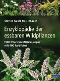 Produkt-Bild: Enzyklop&auml;die der essbaren Wildpflanzen: 1500 Pflanzen Mitteleuropas