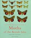 Colour Identification Guide to Moths of the British Isles (Macrolepidoptera)