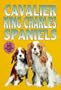 Cavalier King Charles Spaniels (Kw Series)