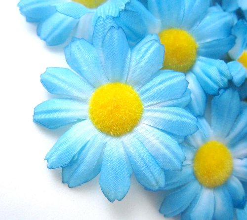 (12) Silk Blue Gerbera Daisy Flower Heads , Gerber Daisies - 1.75