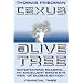 The Lexus and the Olive Tree