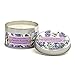 Michel Design Works Lavender Rosemary Soy Wax Travel Tin