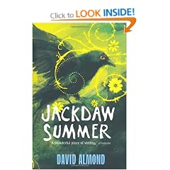 Jackdaw Summer
