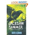 Jackdaw Summer