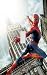 Spiderman Over New York Decorative Switchplate Cover