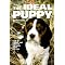 Before you get a dog: read these!