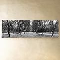 Vanishing Point Canvas Print