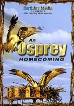 An Osprey Homecoming