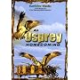 An Osprey Homecoming