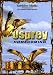 An Osprey Homecoming