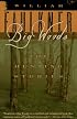 Big Woods: The Hunting Stories