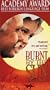 Burnt By the Sun [VHS]