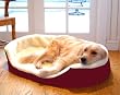 Small 23x18 Lounger Dog Pet Bed - Burgundy