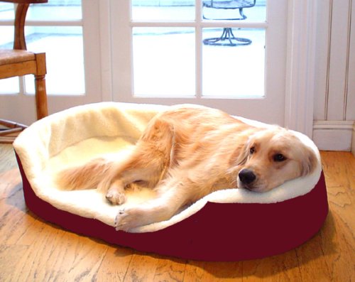 Extra Large 43×28 Lounger Dog Pet Bed – Burgundy