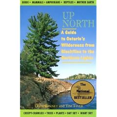 Up North: A Guide to Ontario's Wilderness from Blackflies to the Northern Lights